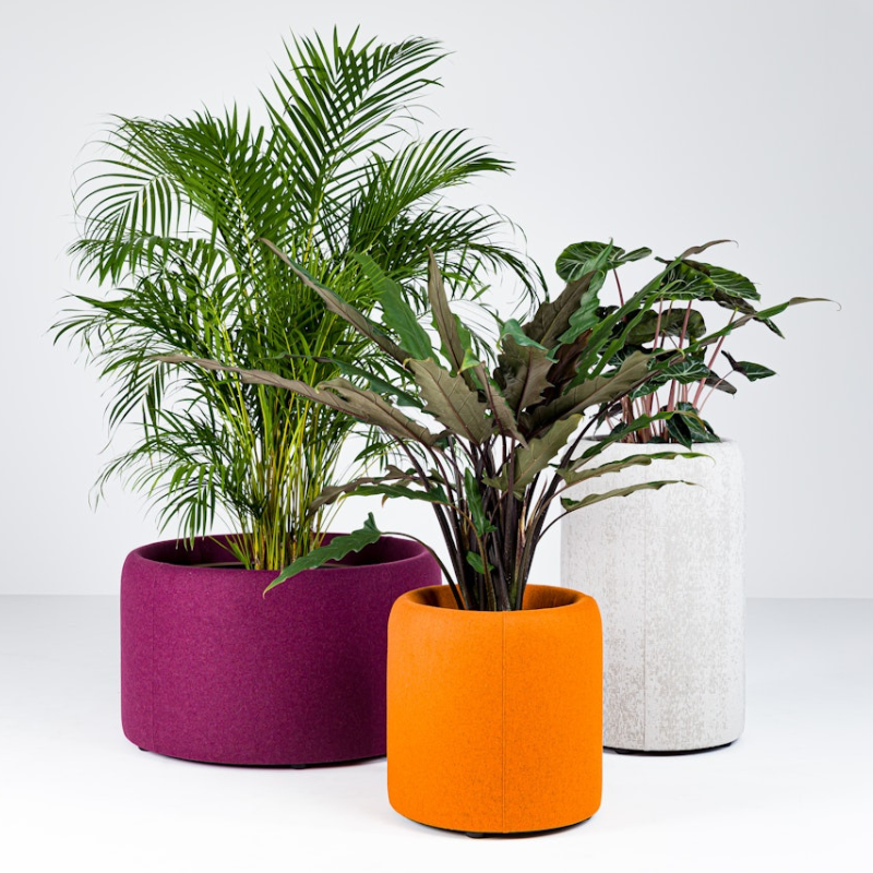 BuzziSpace BuzziPlanter Acoustic Plant Pot – Muffle Acoustics Limited