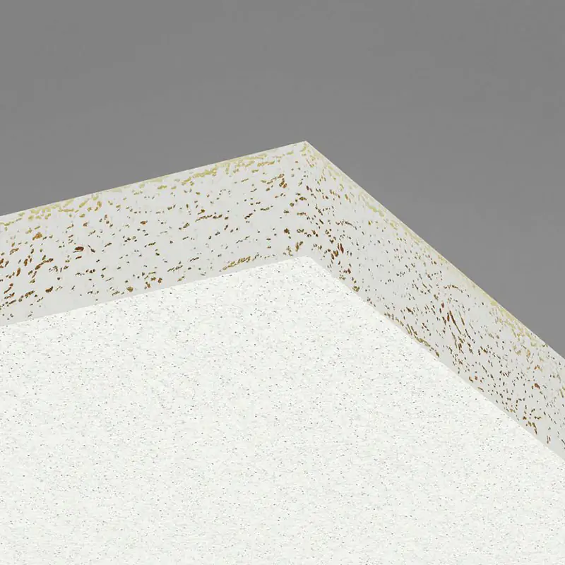 Ecophon-Perform-A-600x600x40-
