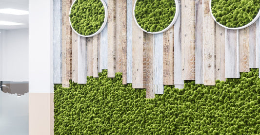 What is Biophilic Interior Design?