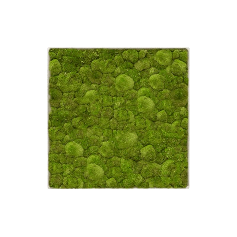 MuffleMoss Square | Wall Panel - Bun