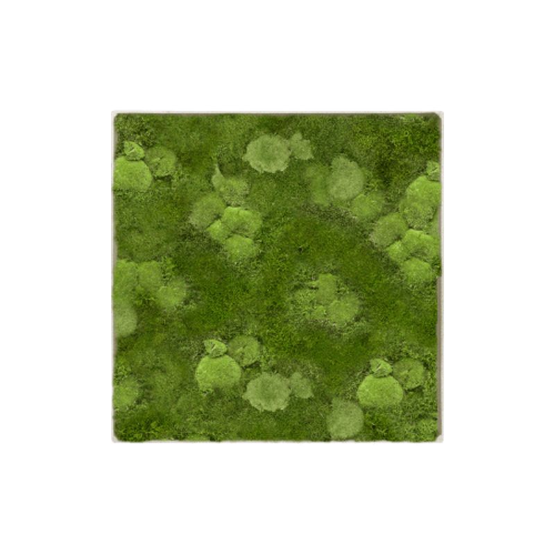 MuffleMoss Square | Wall Panel - Bun & Woodland