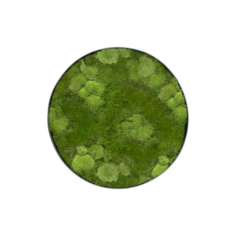 MuffleMoss Circle | Wall Panel - Bun & Woodland