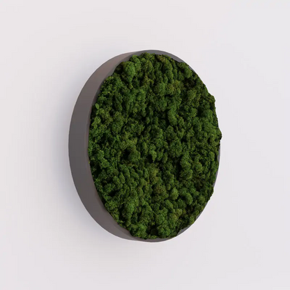 MuffleMoss Circle - Reindeer Moss Wall Panel