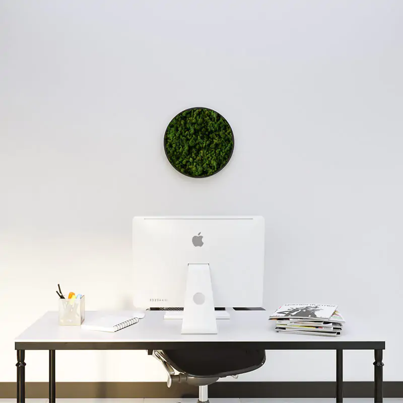 MuffleMoss Circle - Reindeer Moss Wall Panel