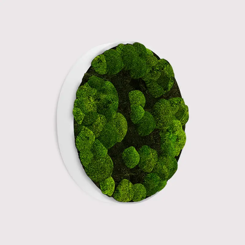 MuffleMoss Circle - Bun & Woodland Moss Wall Panel