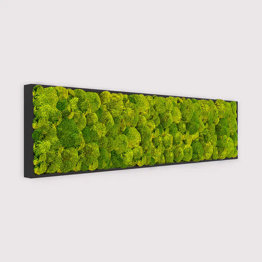 MuffleMoss Rectangle - Bun Moss Wall Panel