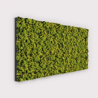 MuffleMoss Rectangle - Reindeer Moss Wall Panel