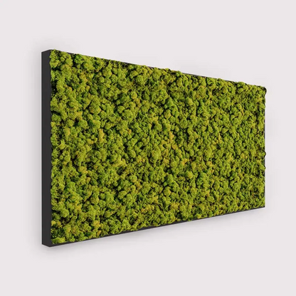 MuffleMoss Rectangle - Reindeer Moss Wall Panel