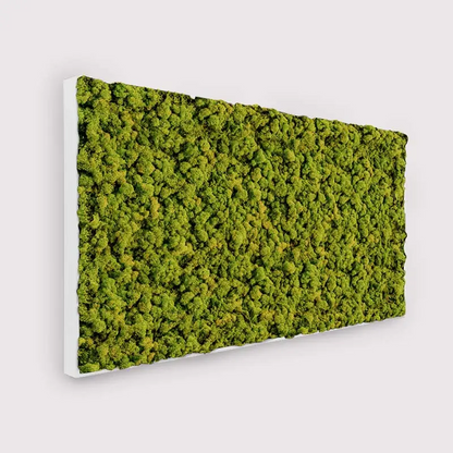 MuffleMoss Rectangle - Reindeer Moss Wall Panel