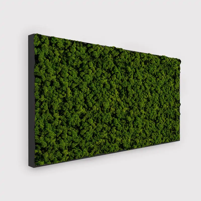 MuffleMoss Rectangle - Reindeer Moss Wall Panel