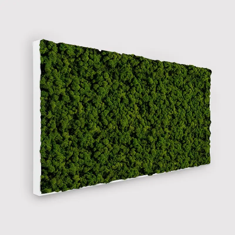 MuffleMoss Rectangle - Reindeer Moss Wall Panel