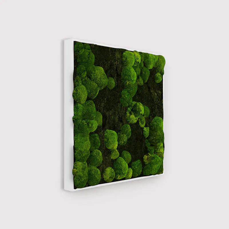 MuffleMoss Square - Bun & Woodland Moss Wall Panel