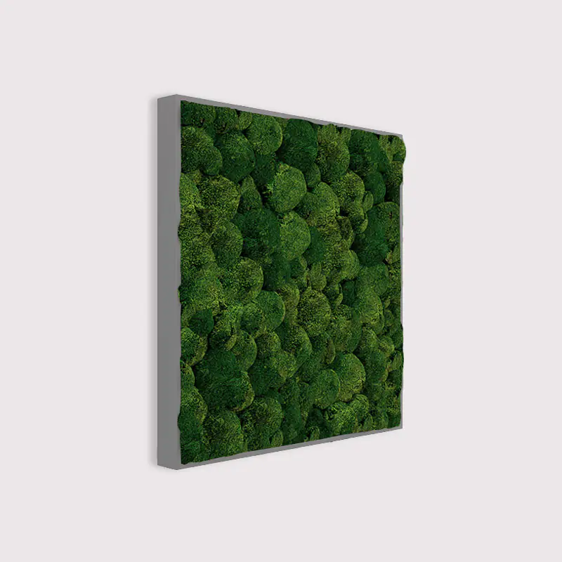 MuffleMoss Square - Bun Moss Wall Panel