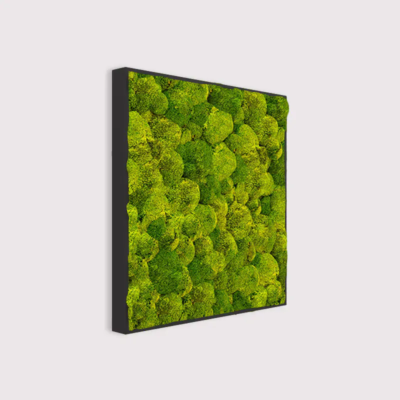 MuffleMoss Square - Bun Moss Wall Panel