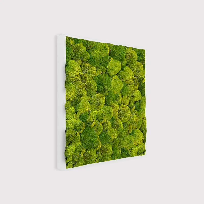 MuffleMoss Square - Bun Moss Wall Panel