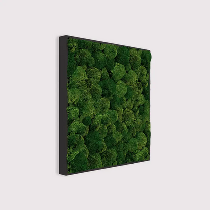 MuffleMoss Square - Bun Moss Wall Panel