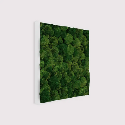 MuffleMoss Square - Bun Moss Wall Panel