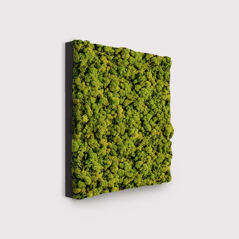 MuffleMoss Square - Reindeer Moss Wall Panel