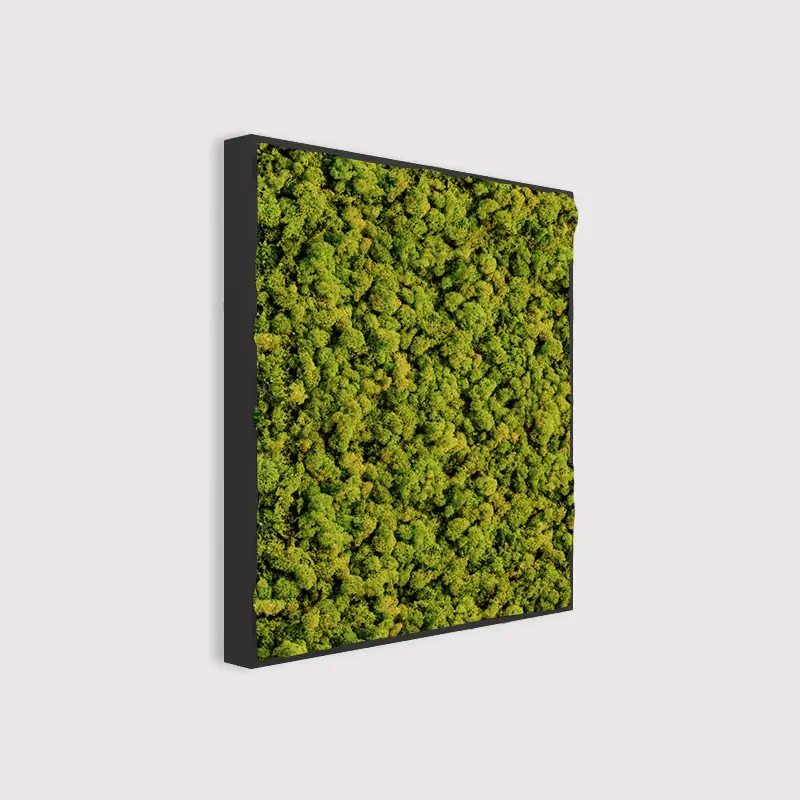 MuffleMoss Square - Reindeer Moss Wall Panel