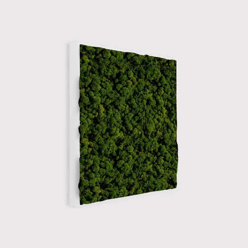 MuffleMoss Square - Reindeer Moss Wall Panel