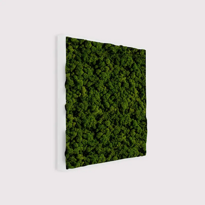 MuffleMoss Square - Reindeer Moss Wall Panel