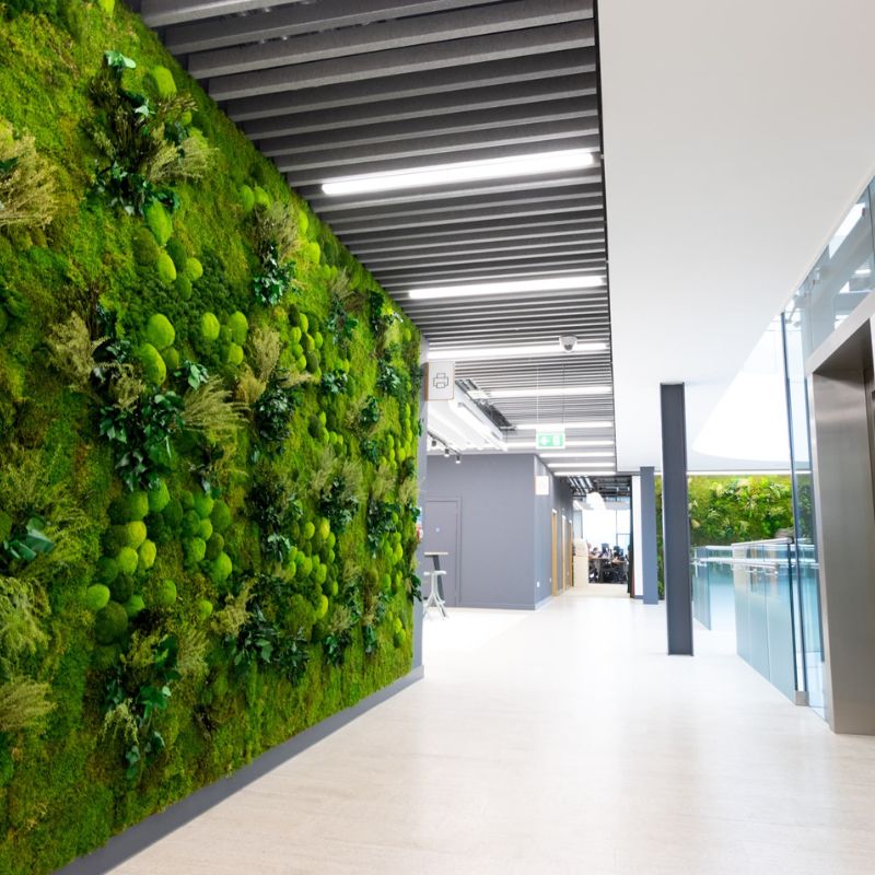 MuffleMoss Bespoke | Custom Wall Moss Installation