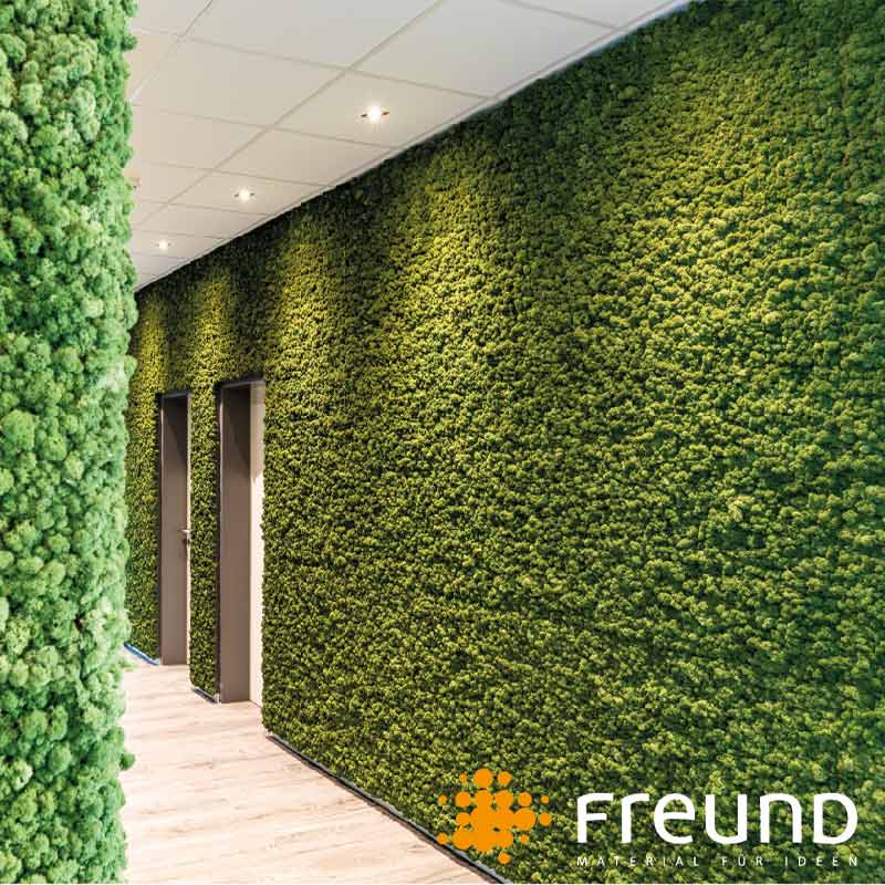  - Freund Acoustic Moss Wall (Sold in Packs) - Muffle Acoustics Limited 