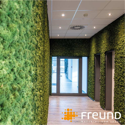 Freund - Freund Acoustic Moss Wall (Sold in Packs) - Muffle Acoustics Limited 