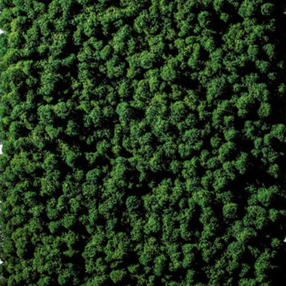  - Freund Acoustic Moss Wall (Sold in Packs) - Muffle Acoustics Limited 